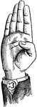 Consonants have a closed or narrowly expanded adjustment of the vocal organs, so that in their production some part of the throat or mouth obstructs, squeezes, or divides the breath. &hellip;in representing consonants the hand suggests a narrow adjustment of the organs, by having the prominent or accented fingers straightened and the second phalanx of the thumb close to the plane of the palm. <p> Non-Vocal Consonant positions have the voice phalanx of the thumb bent at right angles to the breath phalanx, or unaccented. Mixed-Divided Consonant positions have all of the fingers accented. Lip Consonant positions, being anterior, have the palm upright and in line with the arm.