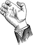 Consonants have a closed or narrowly expanded adjustment of the vocal organs, so that in their production some part of the throat or mouth obstructs, squeezes, or divides the breath. &hellip;in representing consonants the hand suggests a narrow adjustment of the organs, by having the prominent or accented fingers straightened and the second phalanx of the thumb close to the plane of the palm. <p> Non-Vocal Consonant positions have the voice phalanx of the thumb bent at right angles to the breath phalanx, or unaccented. Nasal Consonant positions have the breath phalanx of the thumb in the position to indicate Nasality. None of the fingers are accented. Back Consonant positions, being posterior, have the palm held laterally at an angle to the arm.