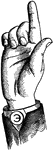 Consonants have a closed or narrowly expanded adjustment of the vocal organs, so that in their production some part of the throat or mouth obstructs, squeezes, or divides the breath. &hellip;in representing consonants the hand suggests a narrow adjustment of the organs, by having the prominent or accented fingers straightened and the second phalanx of the thumb close to the plane of the palm. <p> Vocalized Consonant positions have the voice phalanx of the thumb accented; that is, brought in line with the breath phalanx; this constitutes the only difference between the Vocalized and analogous Non-Vocal Consonant positions. Primary Consonant positions have only the first finger accented. Lip Consonant positions, being anterior, have the palm upright and in line with the arm.