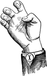 Consonants have a closed or narrowly expanded adjustment of the vocal organs, so that in their production some part of the throat or mouth obstructs, squeezes, or divides the breath. &hellip;in representing consonants the hand suggests a narrow adjustment of the organs, by having the prominent or accented fingers straightened and the second phalanx of the thumb close to the plane of the palm. <p> Non-Vocal Consonant positions have the voice phalanx of the thumb bent at right angles to the breath phalanx, or unaccented. Shut Consonant positions do not have any of the fingers accented. Throat Consonant positions differ from those of the Back in having the index and center fingers separated.
