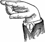 Vowels have a wide, firm, and free channel, whereby the breath is modified without friction or sibilation. &hellip; in representing vowels the hand suggests a wide and firm channel, by having the accented finger bent and its terminal phalanx brought firmly in contact with the terminal phalanx of the thumb. <p> Vowel positions are distinguished by always having the voice phalanx of the thumb accented and in contact with the terminal phalanx of the accented finger. This kind of accent is the strongest which can be given a finger, and so always takes precedence. Two modes of accentuation may not co-exist. Mixed Vowels have the palm thrown forward so as to assume a compromising position. Wide Vowel positions differ from analogous Primary Vowel positions by having straightened unaccented fingers, to denote "Wide." High Vowels have the third finger accented