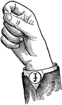 Vowels have a wide, firm, and free channel, whereby the breath is modified without friction or sibilation. &hellip; in representing vowels the hand suggests a wide and firm channel, by having the accented finger bent and its terminal phalanx brought firmly in contact with the terminal phalanx of the thumb. <p> Vowel positions are distinguished by always having the voice phalanx of the thumb accented and in contact with the terminal phalanx of the accented finger. This kind of accent is the strongest which can be given a finger, and so always takes precedence. Two modes of accentuation may not co-exist. Round Vowels differ visibly from normal aperture Vowels by having a contraction of the Lip aperture. This is shown by bringing the terminal phalanges of the thumb and the accented finger together so as to form an outline which is approximately round. Back Vowels have the palm in the posterior position. In Primary Vowel positions the accented voice phalanx of the thumb and the terminal phalanx of the accented finger overlap. None of the unaccented fingers are straightened. Low Vowels have the first or index finger accented.