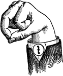 Vowels have a wide, firm, and free channel, whereby the breath is modified without friction or sibilation. &hellip; in representing vowels the hand suggests a wide and firm channel, by having the accented finger bent and its terminal phalanx brought firmly in contact with the terminal phalanx of the thumb. <p> Vowel positions are distinguished by always having the voice phalanx of the thumb accented and in contact with the terminal phalanx of the accented finger. This kind of accent is the strongest which can be given a finger, and so always takes precedence. Two modes of accentuation may not co-exist. Round Vowels differ visibly from normal aperture Vowels by having a contraction of the Lip aperture. This is shown by bringing the terminal phalanges of the thumb and the accented finger together so as to form an outline which is approximately round. Mixed Vowels have the palm thrown forward so as to assume a compromising position. In Primary Vowel positions the accented voice phalanx of the thumb and the terminal phalanx of the accented finger overlap. None of the unaccented fingers are straightened. Mid Vowels have the center finger accented.