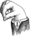 Vowels have a wide, firm, and free channel, whereby the breath is modified without friction or sibilation. &hellip; in representing vowels the hand suggests a wide and firm channel, by having the accented finger bent and its terminal phalanx brought firmly in contact with the terminal phalanx of the thumb. <p> Vowel positions are distinguished by always having the voice phalanx of the thumb accented and in contact with the terminal phalanx of the accented finger. This kind of accent is the strongest which can be given a finger, and so always takes precedence. Two modes of accentuation may not co-exist. Mixed Vowels have the palm thrown forward so as to assume a compromising position. In Primary Vowel positions the accented voice phalanx of the thumb and the terminal phalanx of the accented finger overlap. None of the unaccented fingers are straightened. Wide Vowel positions differ from analogous Primary Vowel positions by having straightened unaccented fingers, to denote "Wide." Low Vowels have the first or index finger accented.