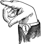 Vowels have a wide, firm, and free channel, whereby the breath is modified without friction or sibilation. &hellip; in representing vowels the hand suggests a wide and firm channel, by having the accented finger bent and its terminal phalanx brought firmly in contact with the terminal phalanx of the thumb. <p> Vowel positions are distinguished by always having the voice phalanx of the thumb accented and in contact with the terminal phalanx of the accented finger. This kind of accent is the strongest which can be given a finger, and so always takes precedence. Two modes of accentuation may not co-exist. Round Vowels differ visibly from normal aperture Vowels by having a contraction of the Lip aperture. This is shown by bringing the terminal phalanges of the thumb and the accented finger together so as to form an outline which is approximately round. Mixed Vowels have the palm thrown forward so as to assume a compromising position. Wide Vowel positions differ from analogous Primary Vowel positions by having straightened unaccented fingers, to denote "Wide." Mid Vowels have the center finger accented.