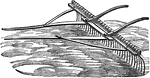 The Spring-tooth Rake was often objected by farmers because the wire teeth scratched up too much earth getting it on the hay.