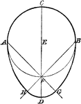 Illustration used to construct and oval when given the width.