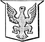 "Argent, an allerion gules. ALLERION. An eagle displayed, without beak or feet." -Hall, 1862