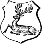 "Argent, a stag lodged, proper, attired, or. ATTIRED. When the horns of a stag are of a different tincture to its head, it is said to be attired." -Hall, 1862