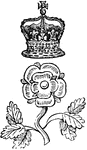 "BADGE. A distinctive mark worn by servants, retainers, and followers of royalty or nobility, who, being beneath the rank of gentlemen, have no right to armorial bearings. The rose and crown is the badge of the servants, &c., of the Kings of England: they are displayed as in the annexed example." -Hall, 1862