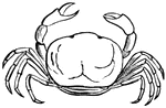 Crabs have the same essentail structure as crayfishes and lobsters.