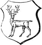 "Argent, a stag at gaze proper. GAZE. An intent look. This is said of a deer standing still, and turning its head to look earnestly at any object." -Hall, 1862