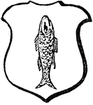 "Argent, a salmon proper haurient. HAURIENT. A fish, in a perpendicular direction, with its head upwards." -Hall, 1862