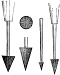 "Figure 4 - egg-drills, different sizes. Steel implements with a sharp-pointed conical head of rasping surface, and a slender shaft; several such, of different sizes, are needed" Elliot Coues, 1884