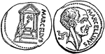 An illustration of Marcellus coins.