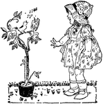 An illustration of a young girl watching a bird in a small tree.