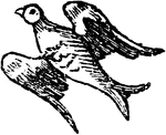 "VOLANT. The French word for flying. It is used in Heraldry to express the same action." -Hall, 1862