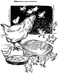 An illustration of a mother hen and her baby chicks eating grain out of a bowl.