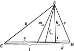 Illustration used to show the various parts of a triangle: sides, angles, medians, altitudes, bisectors, and segments.