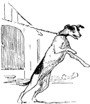 The starving dog, Curtois pulling his leash angrily after Reynard the Fox stole his pudding.