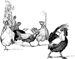 Chanticleer, the rooster and his family of chickens testifying to Lion, the king that Reynard the Fox ate a hen.
