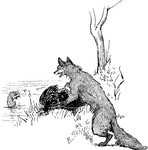 Reynard the Fox taunts Bruin the Bear who is hurt after getting his head stuck in a tree to get honey.