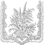This lace scarf is ornamented with British plants and flowers in needlework. It was designed in 1851.