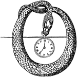 This brooch watch is designed to be pinned on a garment. It shaped in a snake that is formed into a circle, with a small watch in the center that is held by the serpents mouth.