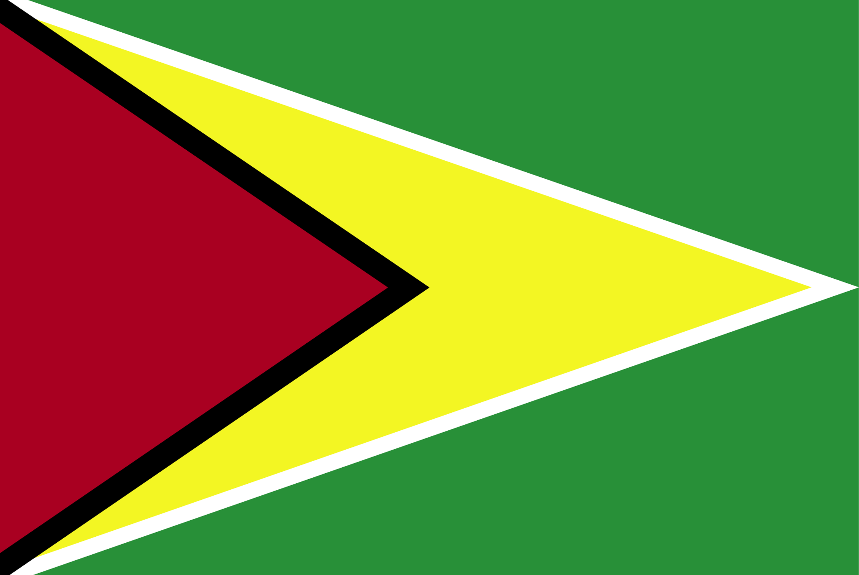 Flag Of Guyana 2009 Clipart Etc