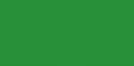 Color flag of Libya. plain green; green is the traditional color of Islam (the state religion).