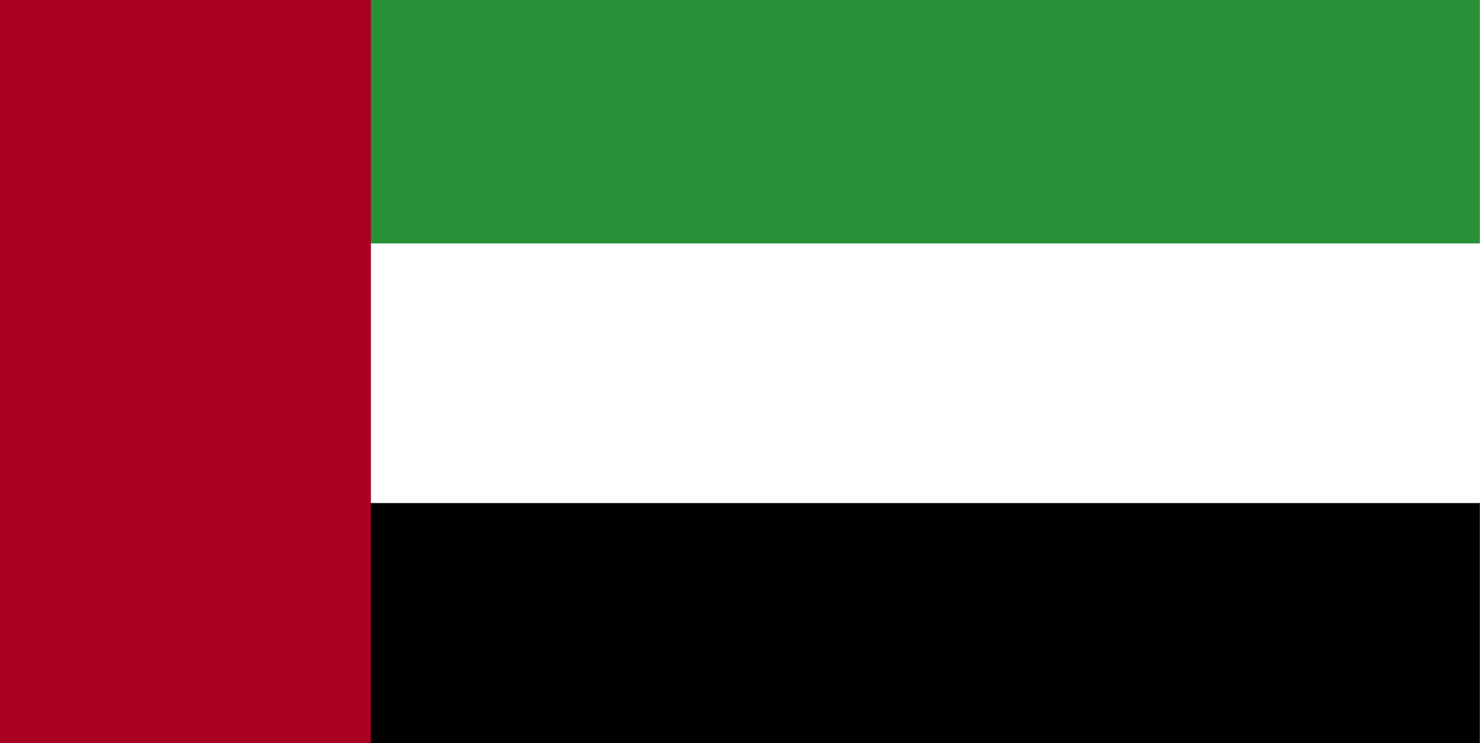 Flag of the United Arab Emirates, 2009 | ClipArt ETC
