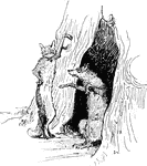 Isegrim the wolf telling Reynard the Fox that there is a great treasure hidden and they are planning to make Bruin the bear the new king.