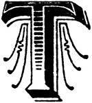 A capital T, decorated with lines and shading.