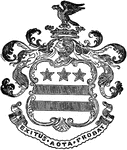 The Coat of Arms of George Washington's family. It is said to be in inspiration of the stars and stripes on the flag of the United States.