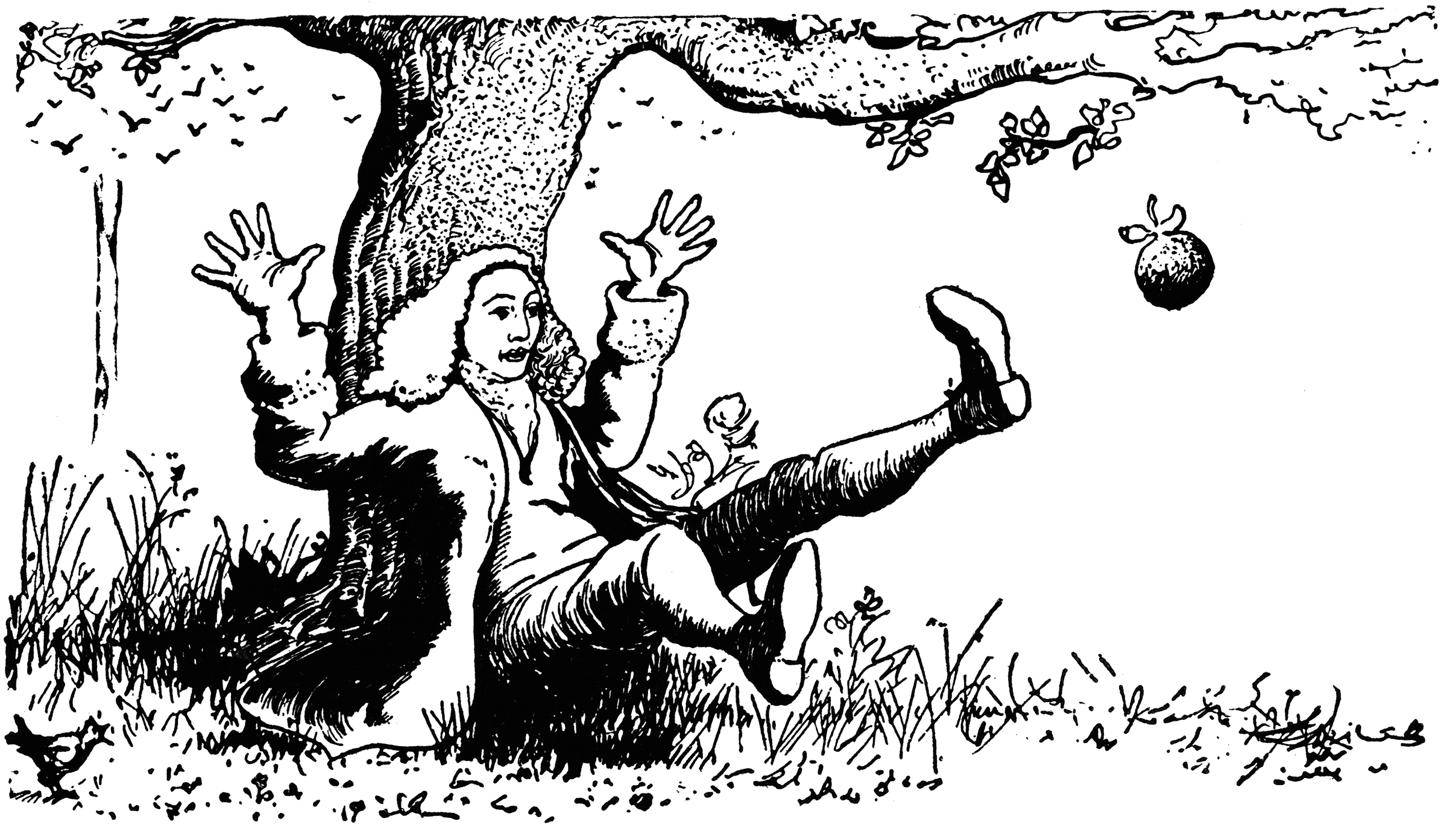 Isaac Newton Discovering Gravity | ClipArt ETC