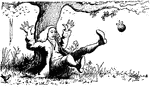 An illustration of Sir Isaac Newton sitting on the ground being hit by an apple falling out of a tree and discovering the law of gravity.