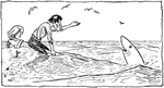 An illustration of a man swimming with sharks.