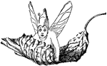 An illustration of an elf sitting on a leaf while it floats in the air.
