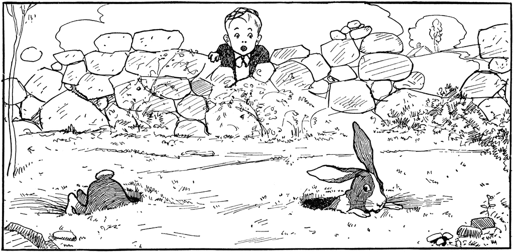 rabbits digging holes