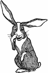 An illustration of a rabbit scratching its nose.