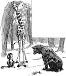 An illustration of a giraffe and monkey looking at a bear cub.