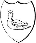 A martlet is a heraldic charge depicting a mythical bird, similar in appearance to the swallow, but with short tufts of feathers in the place of legs (swifts have such small legs that they were believed to have none at all).