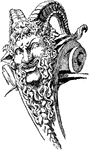 In architecture, a mascaron ornament is a face, usually human, sometimes frightening or chimeric whose function was originally to frighten away evil spirits so that they would not enter the building. The concept was subsequently adapted to become a purely decorative element. The most recent architectural style to extensively employ mascarons was Beaux Arts.