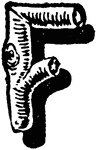 This letter F is a rustic letter design, typically used by gardeners or florists for its branch like style.