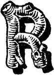 This letter R is a rustic letter design, typically used by gardeners or florists for its branch like style.