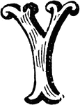 An illustration of a decorative letter Y.