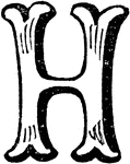 An illustration of a decorative letter H.