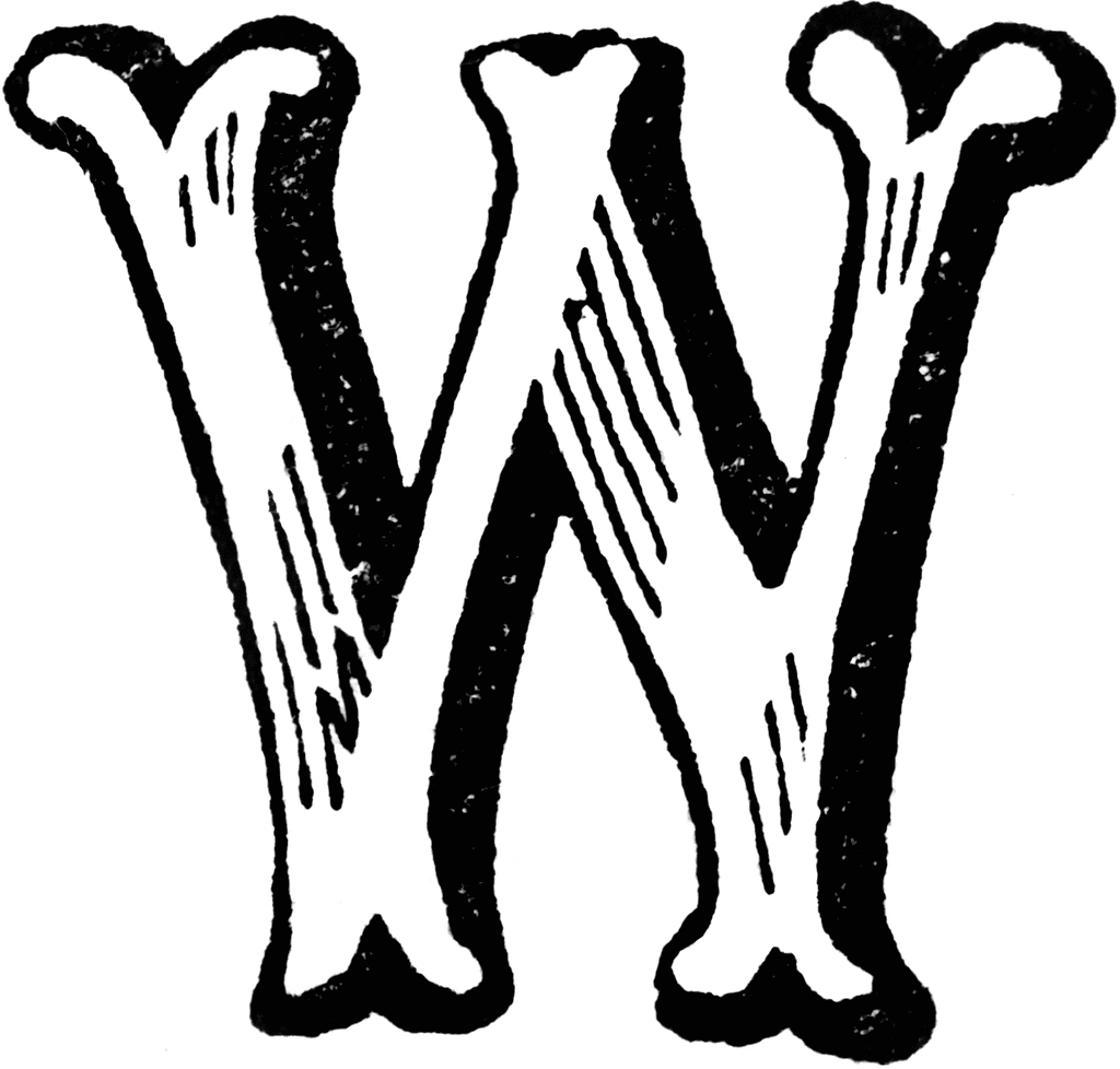 Letter W