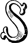 An illustration of a decorative letter S.