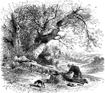 An illustration of a man kneeling near a tree stump with a dog by his side and a house in the background.